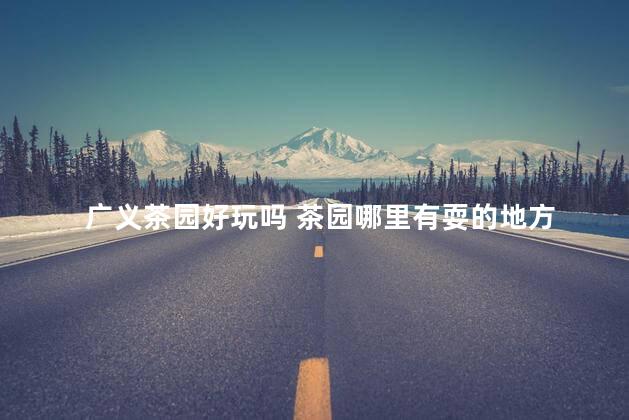 广义茶园好玩吗 茶园哪里有耍的地方